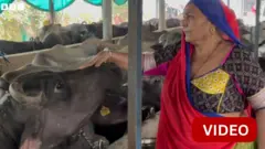 குஜராத் விவசாயி