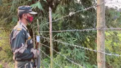 ভারত - বাংলাদেশের সীমান্তে বিএসএফের প্রহরা