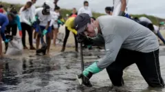 Voluntarios limpian una playa