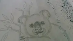 Koala u pesku