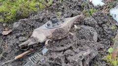 Фрагмент дрона, упавшего в Латвии