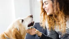 pet