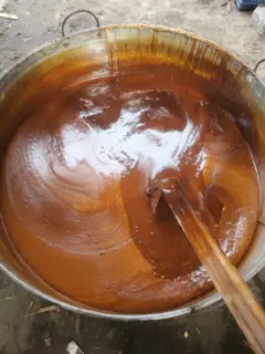 உடன்குடி சர்ச்சை: கலப்பட கருப்பட்டி சாப்பிட்டால் என்ன ஆகும்? அசல், போலியைக் கண்டறிவது எப்படி?