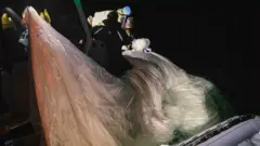 سقطت شظايا البالون في المحيط الهادي