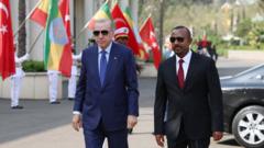 "የአፍሪካ ቀንድ የውጭ ኃይሎች የጦር ሜዳ መሆን የለበትም" - የቱርክ ፕሬዝዳንት ኤርዶዋን