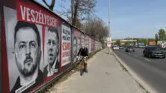 Um homem anda de bicicleta ao lado de um muro em uma rodovia húngara, coberto com retratos em estilo noir de Volodymyr Zelensky e Péter Magyar.