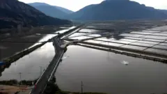 नकम के फॉर्म
