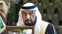 Sheikh Khalifa bin Zayed