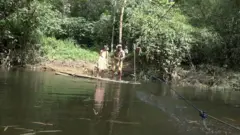 වැවගම