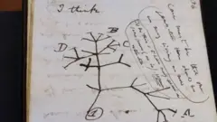 Manuscrito encontrado