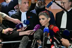 Dominique Pelicot's lawyer speaks⁣ to the media outside the courthouse.