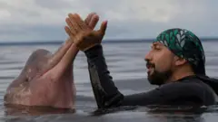 Fernando Trujillo con un delfín