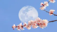 luna llena