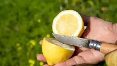 सांकोबान