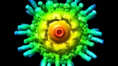 Imagen mejorada de un virus visto a través de un microscopio electrónico.