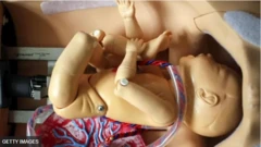 ‘ਆਰਟੀਫਿਸ਼ਿਅਲ ਕੁੱਖ’