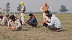 ਕਿਸਾਨ