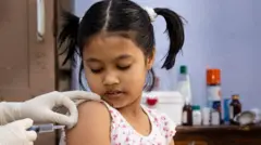 ஜப்பானிய மூளைக்காய்ச்சல் தடுப்பூசி