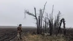 ヴェリカ・ノヴォセルカ