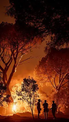फ्रांस-स्पेन के जंगलों में आग
