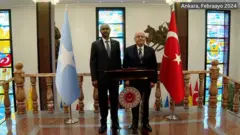 Turkiga