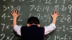 apakah-ada-orang-yang-tidak-bisa-matematika-dari-lahir
