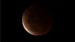 Uma rara "superlua sangue" pode ser vista no céu acima de Wollongong, na Austrália, em 26 de maio. Esta lua cheia é a maior "superlua" do ano e aconteceu na mesma noite do primeiro eclipse lunar total em mais de dois anos
