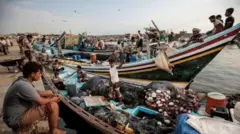 የመናውያን ገፈፍቲ ዓሳ