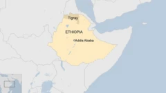 Nta kimenyetso gihari kigaragaza ko iturika ry'icyo gisasu hari aho ryaba rihuriye n'ibibazo byo muri leta ya Tigray