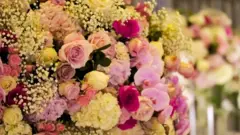 Flores