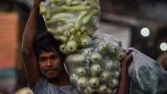 காய்கறி சுமந்து செல்லும் நபர்