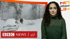 حکومتِ پاکستان، ملک کو عالمی سیاحت کا ایک اہم مرکز بنانا چاہتی ہے۔ لیکن جس ملک میں مری جیسا واقعہ ہوا ہو، وہ ملک کیا ایک عالمی ٹورسٹ مرکز بننے کے لیے تیار ہے؟