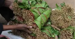 Jaadka Kenya