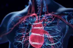 Corpo humano holográfico em azul e o coração em vermelho em primeiro plano.