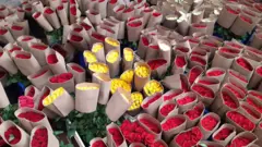 ለገበያ የተዘጋጀ አበባ