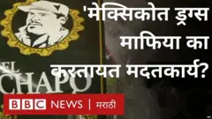 ड्रग्स माफिया एल चापोच्या नावाचं स्टिकर
