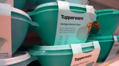 Potes Tupperware empilhadoscomo sacar no luva betprateleiracomo sacar no luva betloja