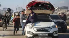 पॅलेस्टिनी 