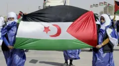 أنصار جبهة البوليساريو