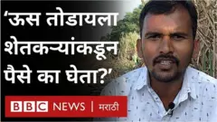 वर्षभर कष्ट करून शेतकरी ऊस पिकवतात. पण तो साखर कारखान्याला नेईपर्यंत त्यांना अनेक अडचणी येतायत.