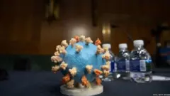 ਕੋਰੋਨਾਵਾਇਰਸ