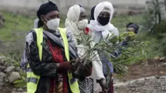 ጭምብል አድርገው ዛፍ የሚተክሉ እናቶች