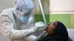 করোনাভাইরাস নমুনা সংগ্রহ।