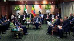 Shugaba Abdel Fatta al-Sisi na Masar, Omar Al-Bashir na Sudan da Firai Ministan Habasha Heilemariam Desalegn