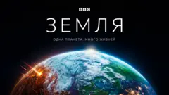 Биография планеты, которую мы зовем домом, растянувшаяся на 4 миллиарда лет.