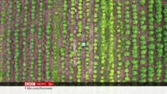 အိန္ဒိယက ခေတ်ပေါ် စိုက်ပျိုးရေး