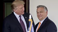 Donald Trump ve Viktor Orban