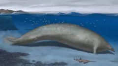 Ilustração de animal antigo
