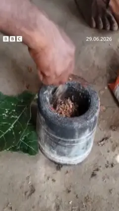 சிவப்பு எறும்பு துவையல்