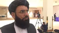 سہیل شاہین